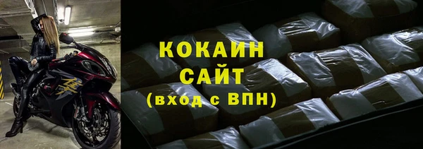 индика Богданович