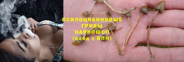 гашиш Богородск