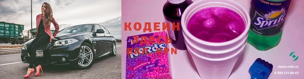 индика Богданович