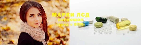 индика Богданович