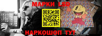шишки Заволжье
