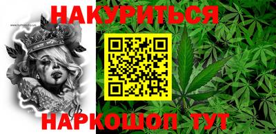 шишки Заволжье