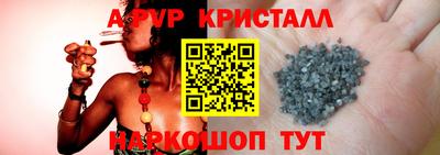 шишки Заволжье