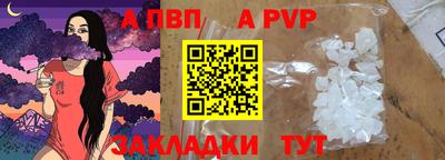 шишки Заволжье