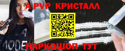 шишки Заволжье