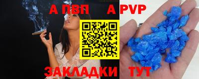 шишки Заволжье
