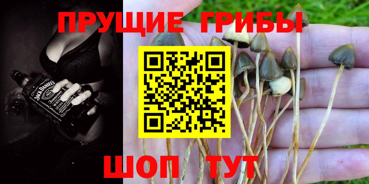 Псилоцибиновые грибы ЛСД Валуйки