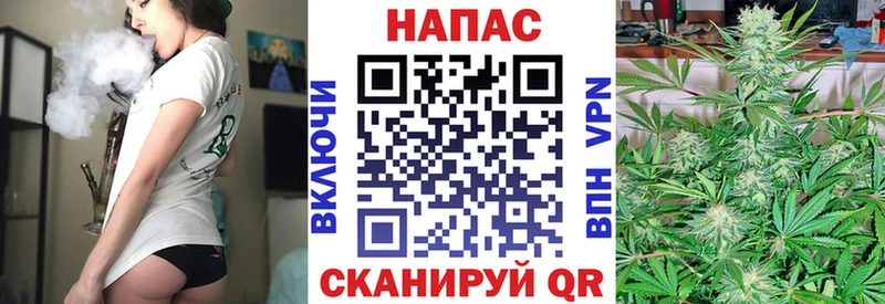 Конопля семена Валуйки